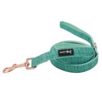 Wag your Teal