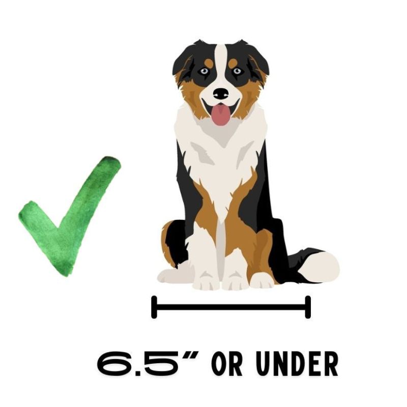 BuddyRider Collar Size