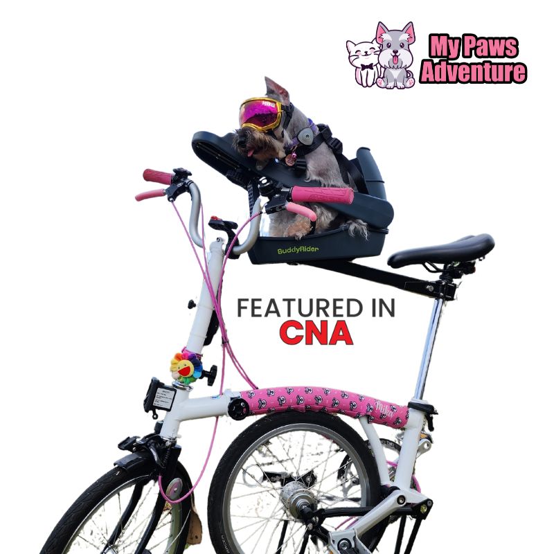 Buddyrider Series 2 Mika