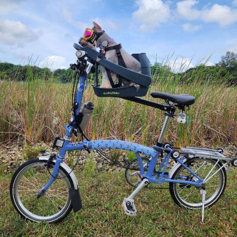 Buddyrider Series 2 Mika2