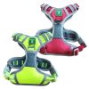 Dual harness