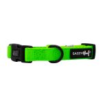Neon Green