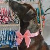 Sailor bow2