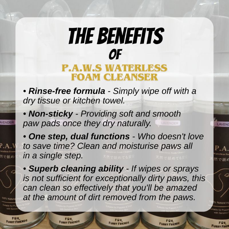 Waterless Foam Cleanser 3