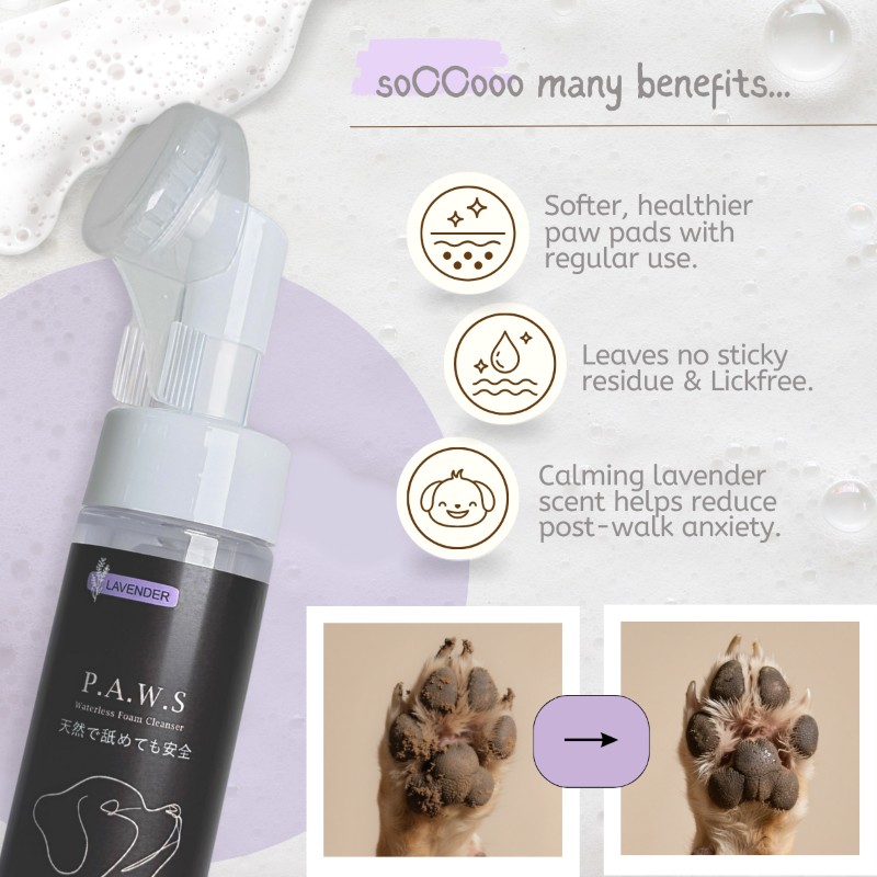 Waterless foam 4