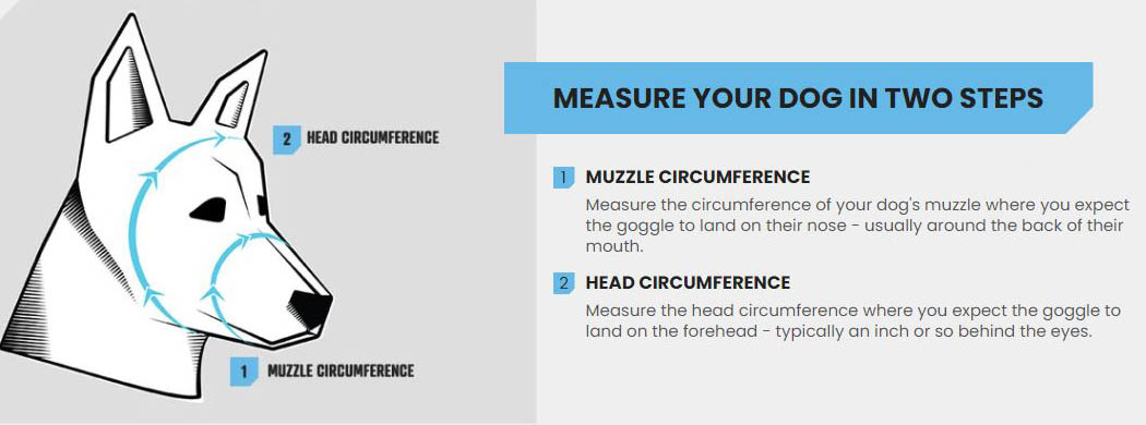 Rex Specs | How To Measure