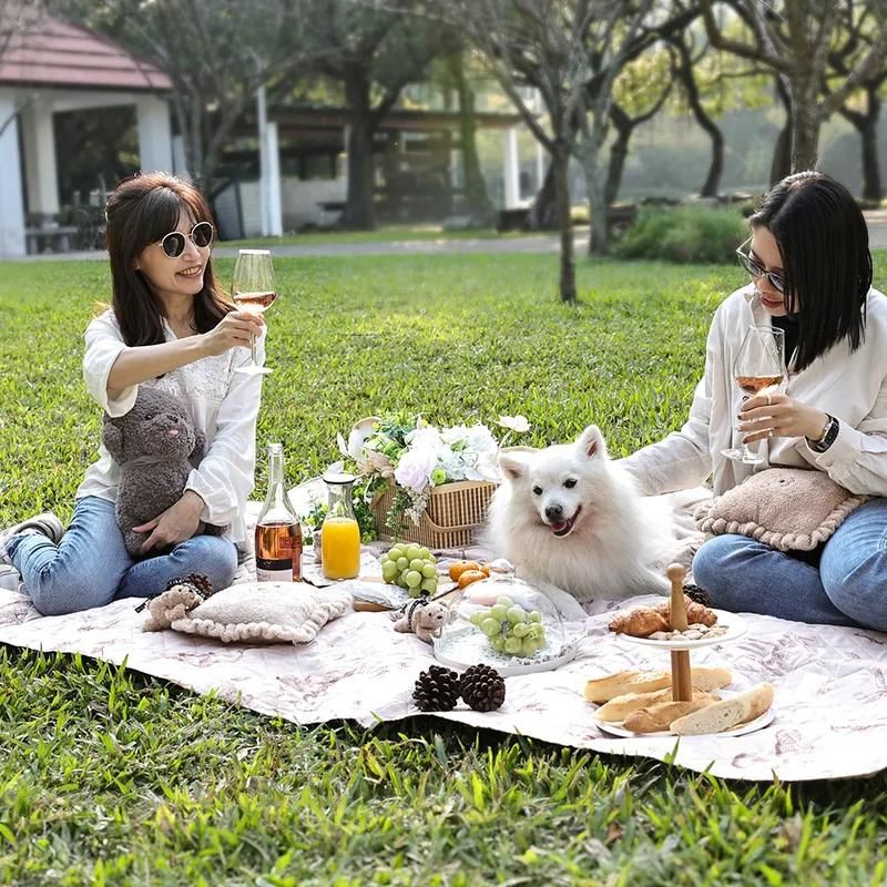 Picture of humans and pets using fikago picnic mat