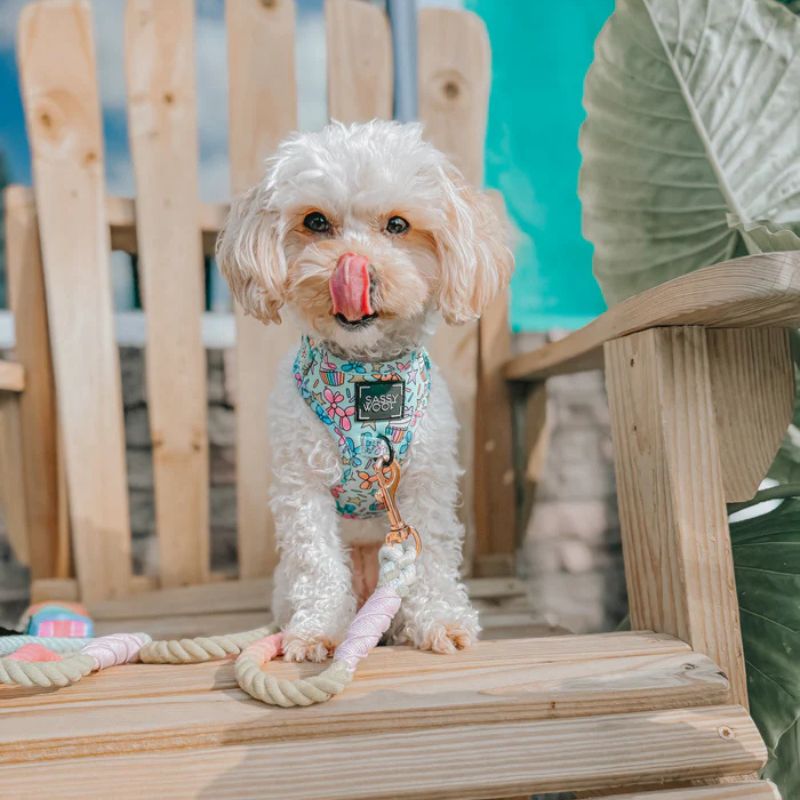 pup pup hooray2