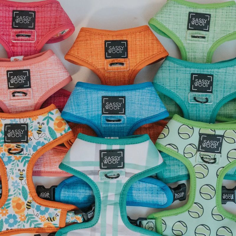 reversible harness