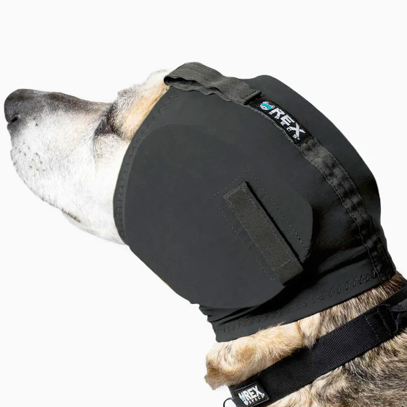 Rex Specs Ear Pro For Dogs