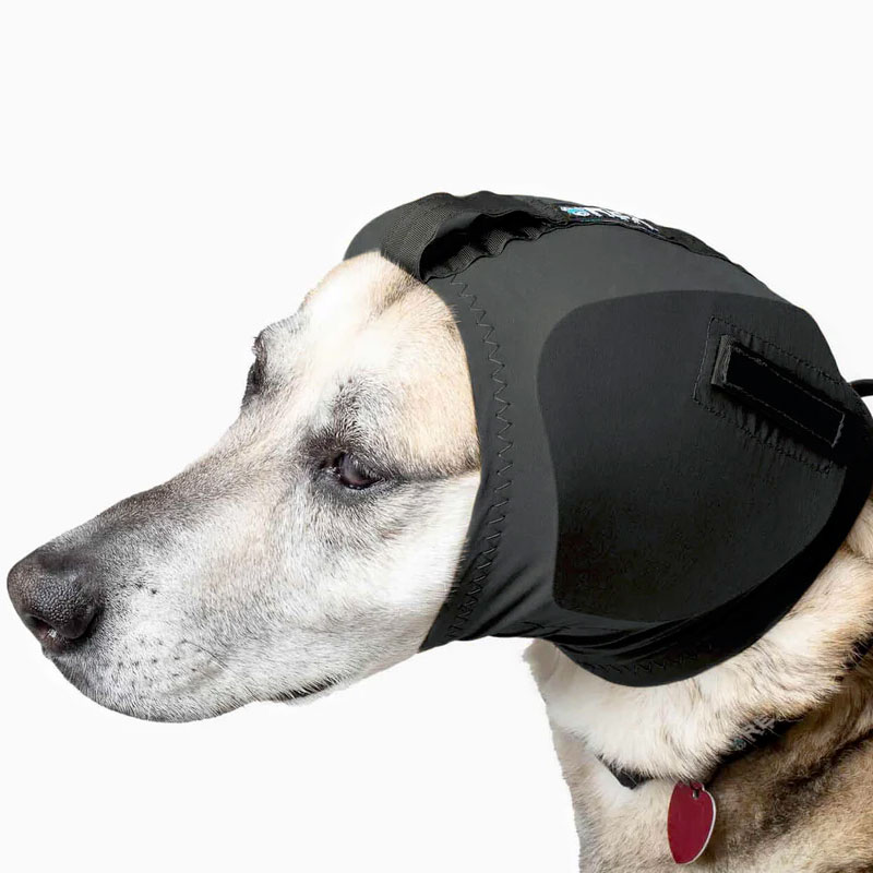 Rex Specs Ear Pro For Dogs