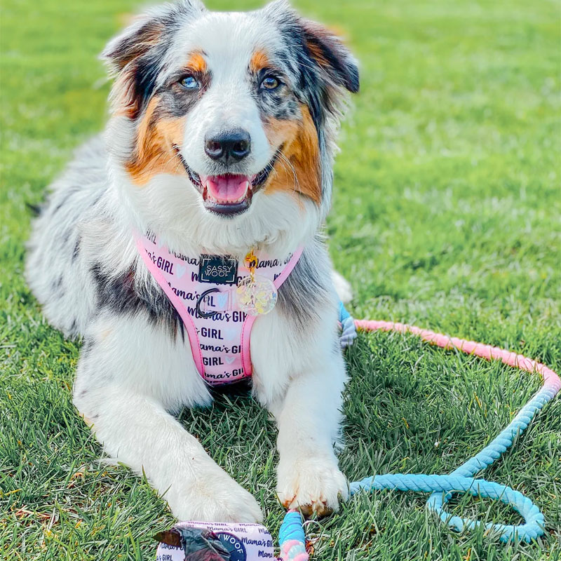 Sassy Woof Rope Leash - Romance