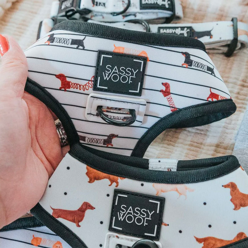 Dog Reversible Harness - 101 Dachshunds Dog Reversible Harness - 101 Dachshunds